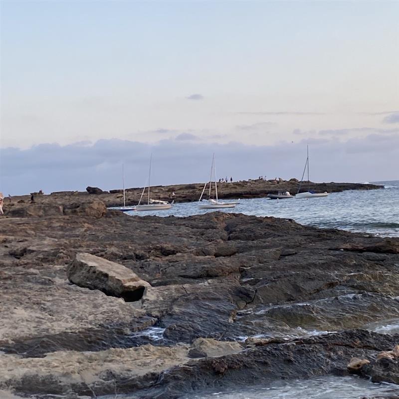 Meer